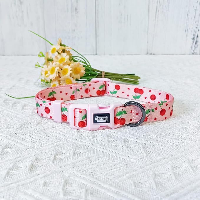 Dog Collar Leash Set, Fruit Pattern, Polyester Material, Adjustable Collar and 5ft Matching Leash, for Puppy Dogs.(XS, Pink Cherry)