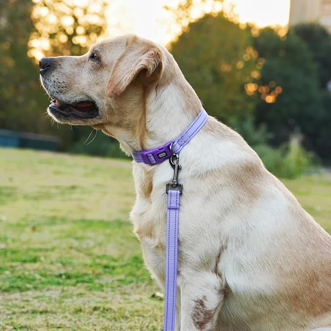 Dog Collar Leash Set,with Relfective Strips,Lilac Purple,Extra Small. | Adjustable Collar,5 ft Matching Leash,Neoprene Padded Handle.