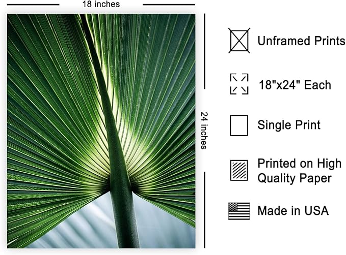 Monem Art Tropical Palm Leaf Macro Photography Print - Minimalist Botanical Nature Art Poster - Wall Decor for Living Room, Bedroom or Office - 18x24 Unframed Wall Art by Mareike Bohmer