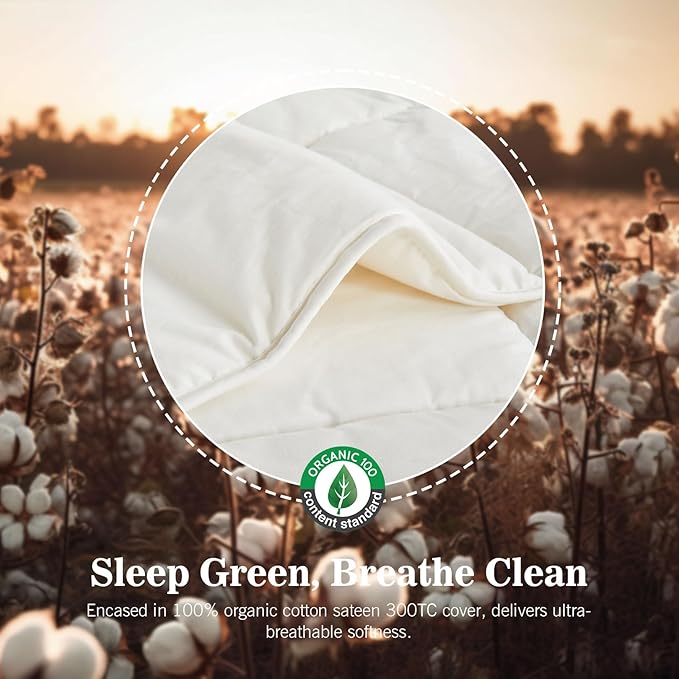Hybrid Australian Wool Comforter Full Size with 100% Organic Cotton, Hypoallergenic Luxury Duvet Insert with Tabs, Temperature Regulating All-Season Bedding, White