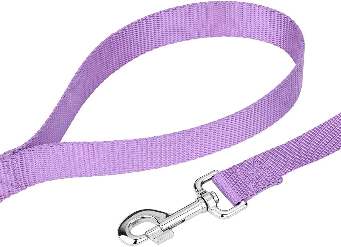 Country Brook Petz - Everyday Nylon Dog Collar and Leash - 10+ Cool Colors (1 Inch, Large, Lavender)