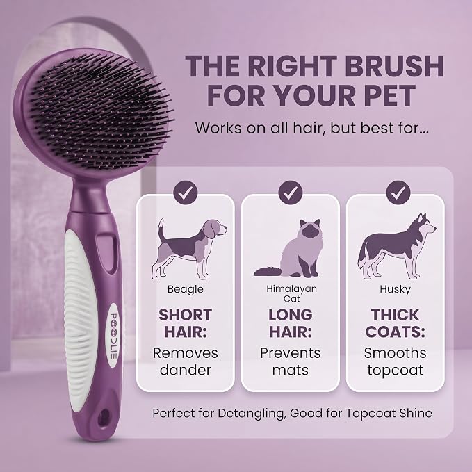 Round Bristle Pet Brush for Dogs and Cats - Soft Dog Brush for Grooming Short or Long Hair - Gentle Tool for Sensitive Skin Removes Dander, Dirt, and Detangles (Purple)