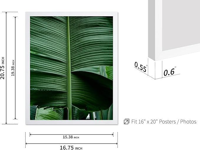 Monem Art Tropical Banana Leaf Photography Print - Minimalist Botanical Nature Poster - Wall Decor for Living Room, Bedroom or Office - 16x20 White Framed Wall Art by Mareike Bohmer