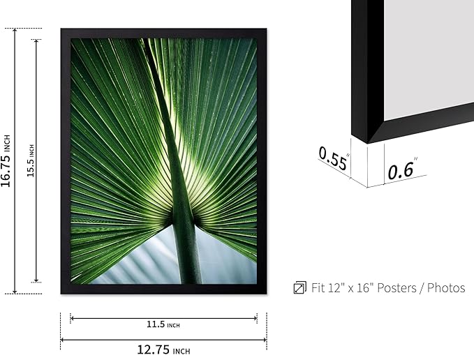 Monem Art Tropical Palm Leaf Macro Photography Print - Minimalist Botanical Nature Art Poster - Wall Decor for Living Room, Bedroom or Office - 12x16 Black Framed Wall Art by Mareike Bohmer