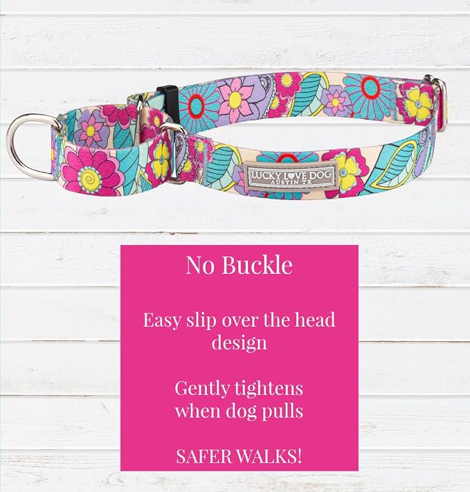 Lucky Love Dog Martingale Collar, Premium No Slip Martingale Collar for Medium Dogs, Great for Whippets, Greyhounds, and More (Caroline, Medium)