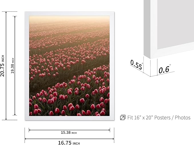 Monem Art Golden Tulip Field Sunset Photography Print - Romantic Spring Landscape Art Poster - Wall Decor for Living Room, Bedroom or Office - 16x20 White Framed Wall Art by Mareike Bohmer