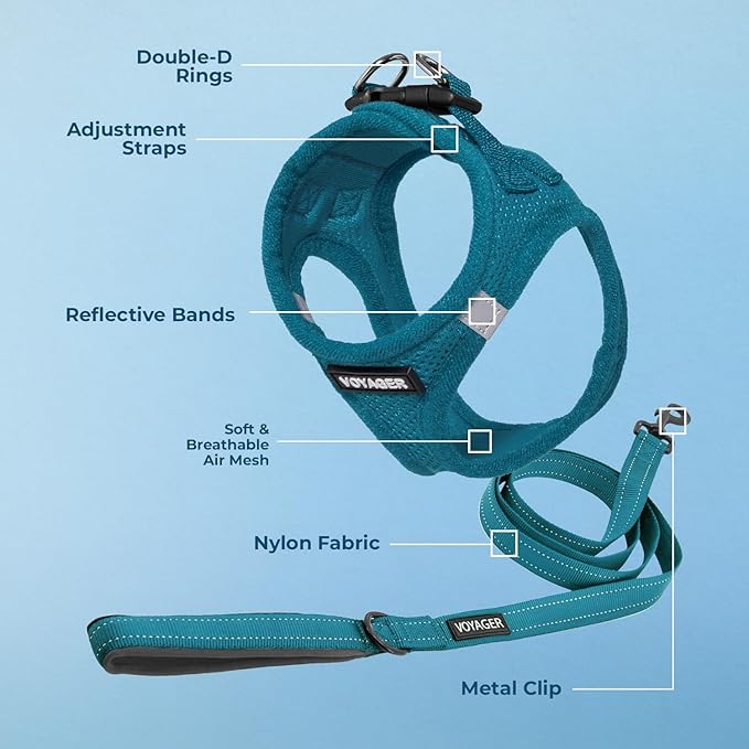 Best Pet Supplies Voyager Step-in Air All Weather Mesh Harness and Reflective Dog 5ft Leash Combo with Neoprene Handle, for Small, Medium and Large Breed Puppies - Turquoise, Medium