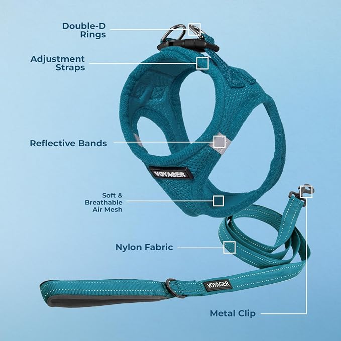 Best Pet Supplies Voyager Step-in Air All Weather Mesh Harness and Reflective Dog 5ft Leash Combo with Neoprene Handle, for Small, Medium and Large Breed Puppies - Turquoise, X-Large