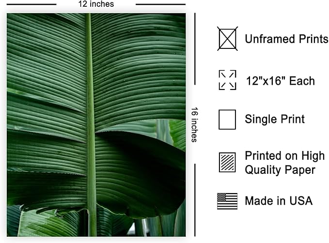 Monem Art Tropical Banana Leaf Photography Print - Minimalist Botanical Nature Poster - Wall Decor for Living Room, Bedroom or Office - 12x16 Unframed Wall Art by Mareike Bohmer