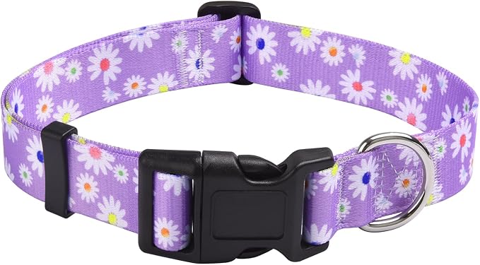 MarukoPet Dog Collar, Adjustable for Small Medium Large Dogs Puppy, Cute Design with Bohemia Floral Tribal Geometric Patterns Boys Girls Dog Collar(Purple Daisy-S)