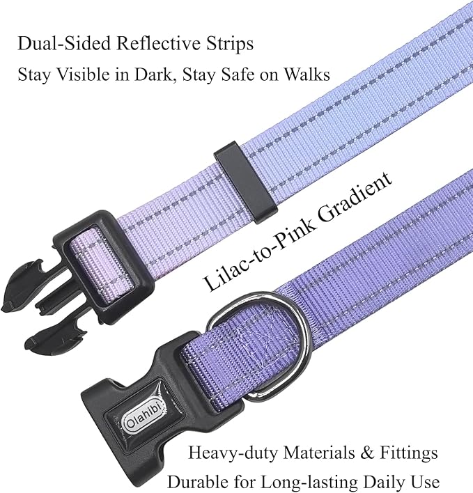 Dog Collar Leash Set, Gradient Color, with Safety Reflective Strips, 5 ft Matching Leash, Neoprene Padded Handle, Adjustable 4 Sizes for Small Medium Large Dogs.(XS, Lilac Pink)