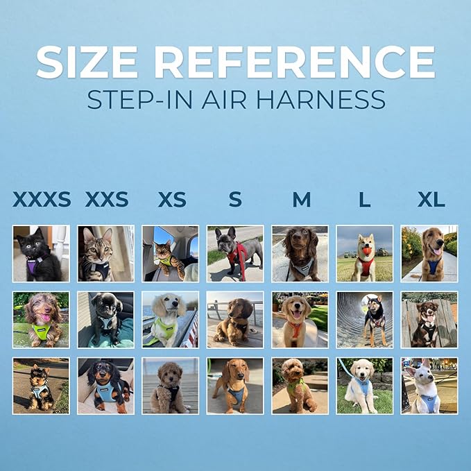 Best Pet Supplies Voyager Step-in Air All Weather Mesh Harness and Reflective Dog 5ft Leash Combo with Neoprene Handle, for Small, Medium and Large Breed Puppies - Baby Blue, X-Large