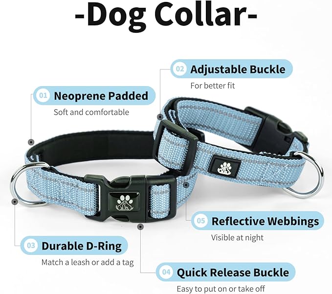 IVY&LANE 2 Pack Reflective Dog Collars and Leashs Set,Adjustable Neoprene Padded Dog Collar for Puppy, Breathable Nylon Pet Collar for Small Medium Large Dogs(Medium,Blue+Teal)