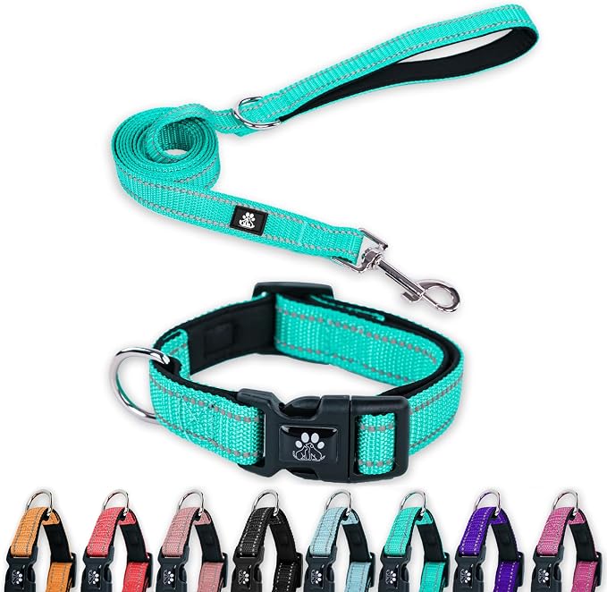 FURRYFECTION Reflective Neoprene Padded Dog Collar and Leash Set with Quick Release Buckle, Adjustable for Small Medium and Large Dogs (Small + 5FT Leash, Teal)
