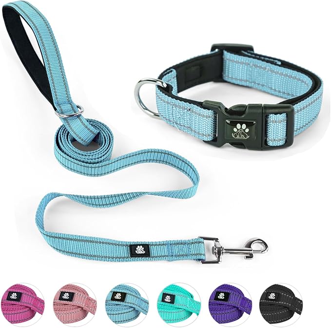 NESTROAD Dog Collar and Leash Set,Reflective Dog Collars with Quick Release Buckle,Adjustable Nylon Pet Collar for Small Medium Large Dogs(Small,Blue)