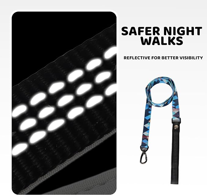 EVERKING Dog Collar & Leash Set for Everyday Walking | Matching adjustable collar and leash set with reflective handle and heavy-duty hardware for comfortable everyday dog walks.