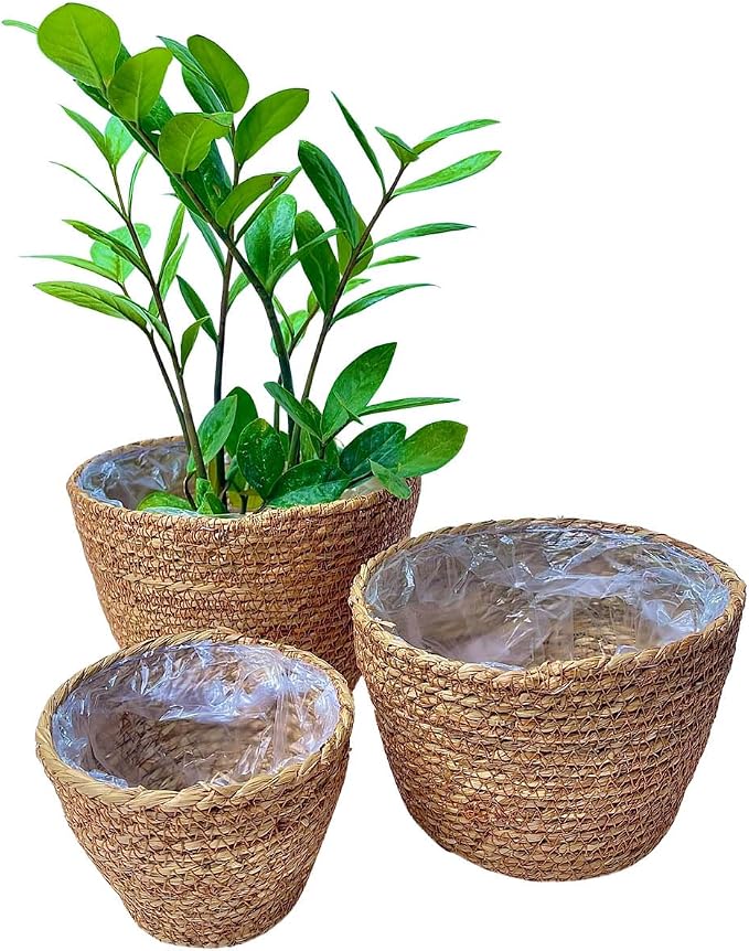 Laquedecraft Woven Seagrass Plant Basket Without Handles | Decorative Planter for Small-Space Living or Natural Home Styling | Perfect for Living Room, Balcony, Patio, Kitchen or Gadren (Set of 3)