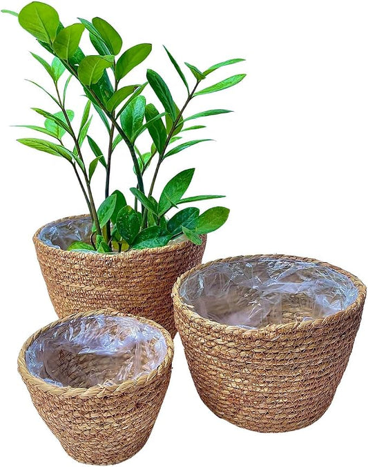 Laquedecraft Woven Seagrass Plant Basket Without Handles | Decorative Planter for Small-Space Living or Natural Home Styling | Perfect for Living Room, Balcony, Patio, Kitchen or Gadren (Set of 3)