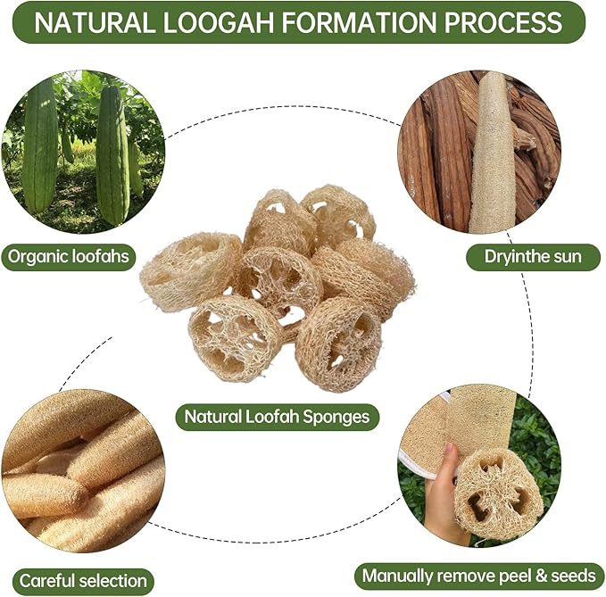 Natural Loofah Sponge for Soap Making, 20 Pack Organic Loofahs Slices Cuts Set, Loofa Exfoliating Body Scrubber, Shower Sponge Luffas for Women and Men