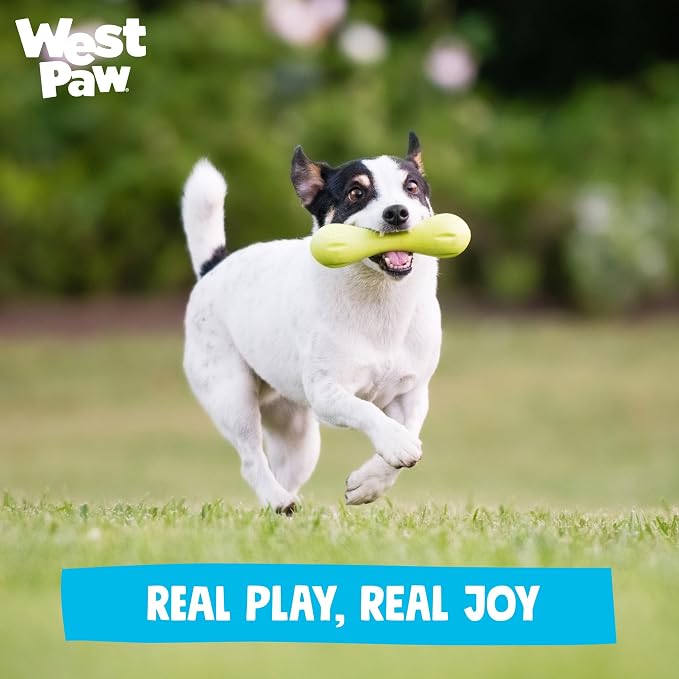 WEST PAW Zogoflex Hurley Dog Bone Chew Toy – Floatable Pet Toys for Aggressive Chewers, Catch, Fetch – Bright-Colored Bones for Dogs – Recyclable, Dishwasher-Safe, Non-Toxic, Small, Aqua