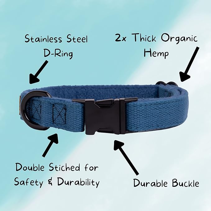 Pawsitive Hemp Dog Collar - Super Soft Hypoallergenic Lining. Great for Small, Medium and Large Dogs; Medium Forest Green