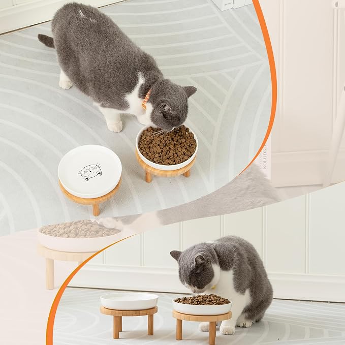 Lusifaco Shallow Elevated Cat Bowls,5.9 Inch Wide Raised Ceramic Cat Dishes with Bamboo Stand, Whisker Friendly Pet Water or Food Plates Feeding Station for Indoor Cats, Kitten (Blue,Set of 2)