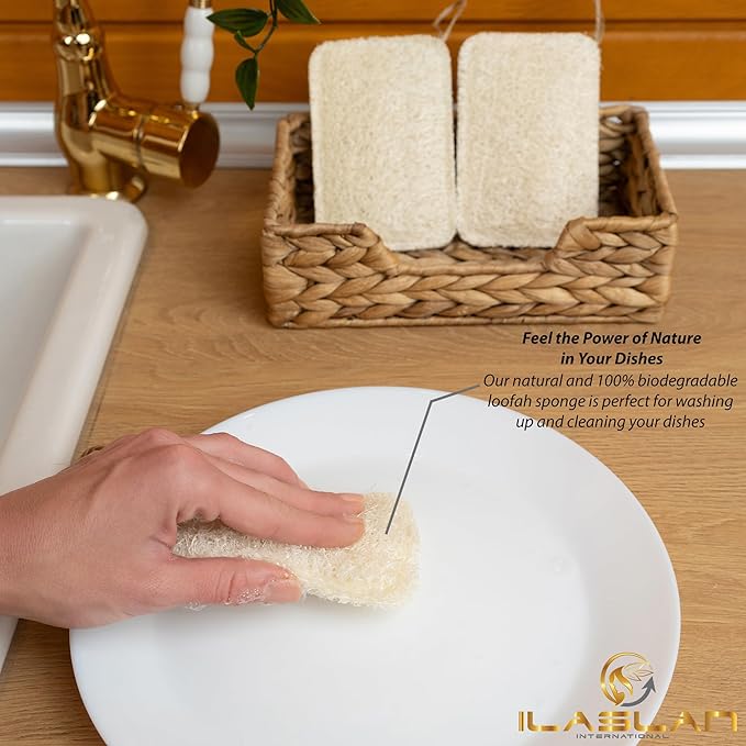 Natural Loofah Dish Sponge Scrubber | Double-Sided | Eco-Friendly, Natural,%100 Organic, Biodegradable and Reusable Dish Loofah Kitchen Sponges | 3 Count (1 Pack) (12X8 CM)