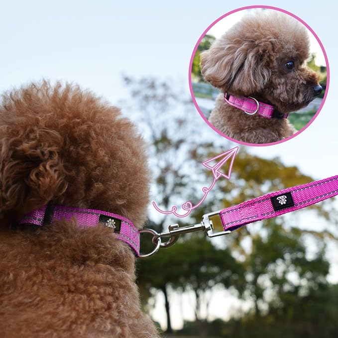 NESTROAD Dog Collar and Leash Set,Reflective Dog Collars with Quick Release Buckle,Adjustable Nylon Pet Collar for Small Medium Large Dogs(Large,Fuchsia Pink)