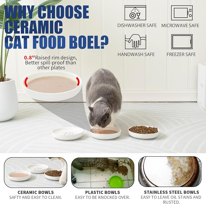 Lusifaco Shallow Cat Food Bowls, 5.9 Inch Wide Ceramic Cat Dish for Indoor Cat,Anti Whisker Fatigue Cat Dishes Set, Kitten Plates for Food and Water,Non-Slip Silicone Mat,3 Pack(Green)