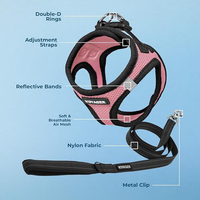 Best Pet Supplies Voyager Step-in Air All Weather Mesh Harness and Reflective Dog 5ft Leash Combo with Neoprene Handle, for Small, Medium and Large Breed Puppies - Pink Base, Medium