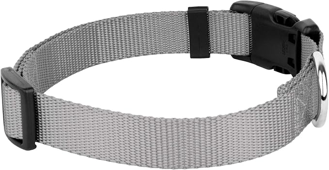 Country Brook Petz - Everyday Nylon Dog Collar and Leash - 10+ Cool Colors (3/8 Inch, 3XS, Silver)