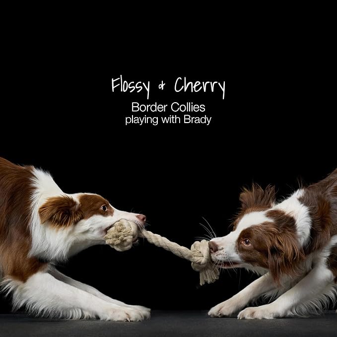 Pet Passion Brady The Rope Tug Toy 3-Pack Organic Cotton Dog Rope Pull Toys for All Pet Breeds, Pink Salt, One Size