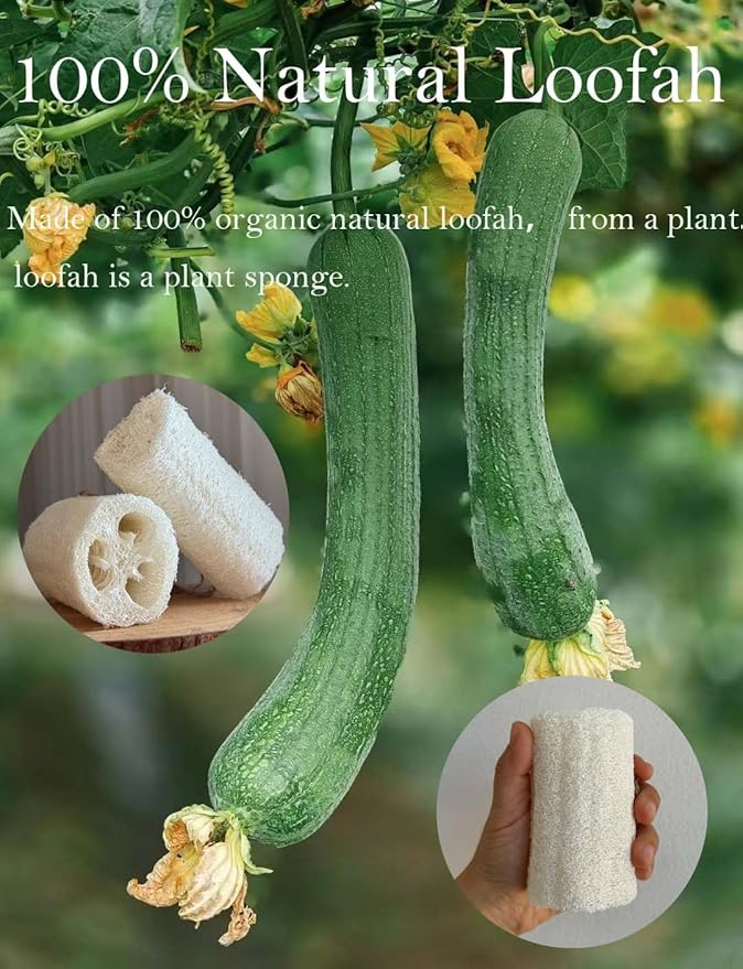 4" Plant Sponge 100% Natural Loofah Dish Sponges, Natural Dishwashing Sponges for Kitchen, Kitchen Scrubber Loofahs - 24 Pack