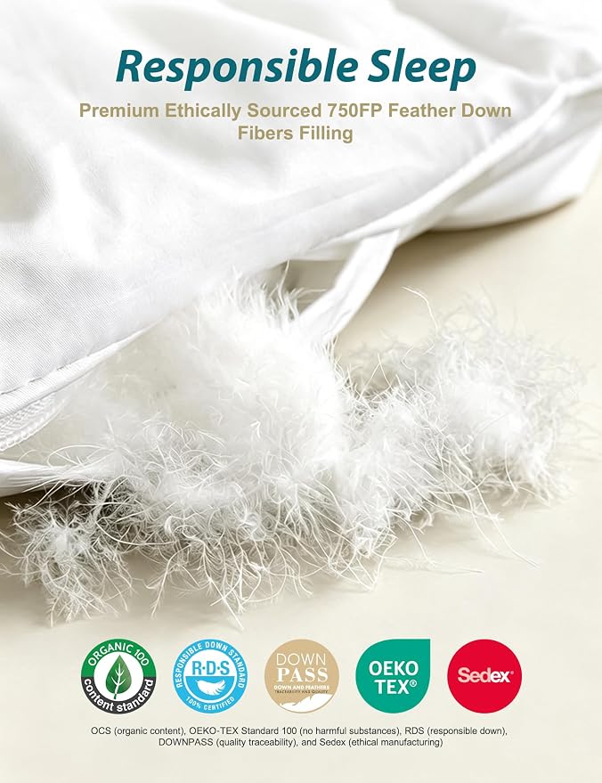 Cobnom® Luxury Organic Feather Down Comforter Twin Size, All-Season Duvet Insert, Fluffy High Fill-Power Down Feather Filled, 100% Cotton Cover, Medium Warm, Ivory White, 68x90 Inch