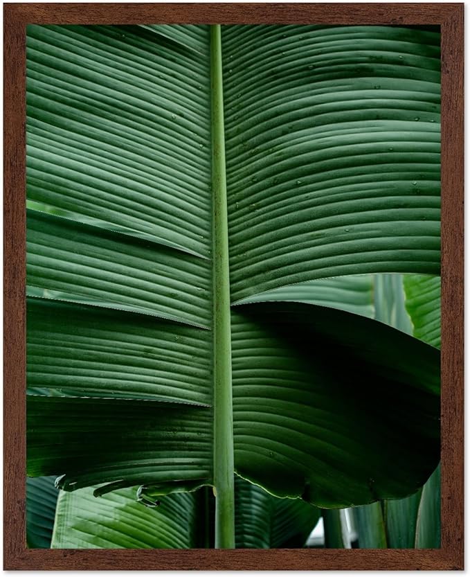 Monem Art Tropical Banana Leaf Photography Print - Minimalist Botanical Nature Poster - Wall Decor for Living Room, Bedroom or Office - 8x10 Brown Framed Wall Art by Mareike Bohmer