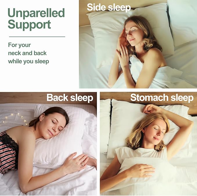 100% Natural Talalay Latex Pillow for Sleeping with Removable Cotton Cover, Premium Soft Bed Pillow Helps Relieve Pain and Pressure, Suitable for Side Back or Stomach Sleepers (Standard (Low Loft))