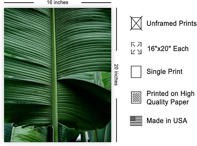 Monem Art Tropical Banana Leaf Photography Print - Minimalist Botanical Nature Poster - Wall Decor for Living Room, Bedroom or Office - 16x20 Unframed Wall Art by Mareike Bohmer