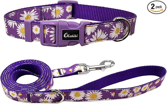 Dog Collar Leash Set, Floral Pattern, Nylon Webbing Plus Cotton Ribbon, 5ft Matching Leash, for Medium Dogs.(M, Purple Daisy)