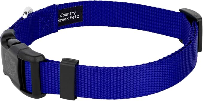 Country Brook Petz - Everyday Nylon Dog Collar and Leash - 10+ Cool Colors (1 Inch, Large, Bright Royal Blue)