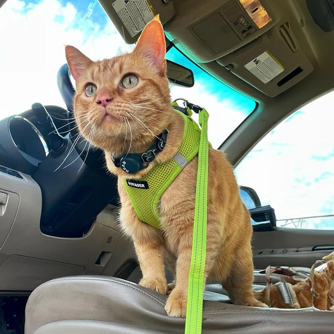 Best Pet Supplies Voyager Step-in Air All Weather Mesh Harness and Reflective Dog 5ft Leash Combo with Neoprene Handle, for Small, Medium and Large Breed Puppies - Lime Green, Large
