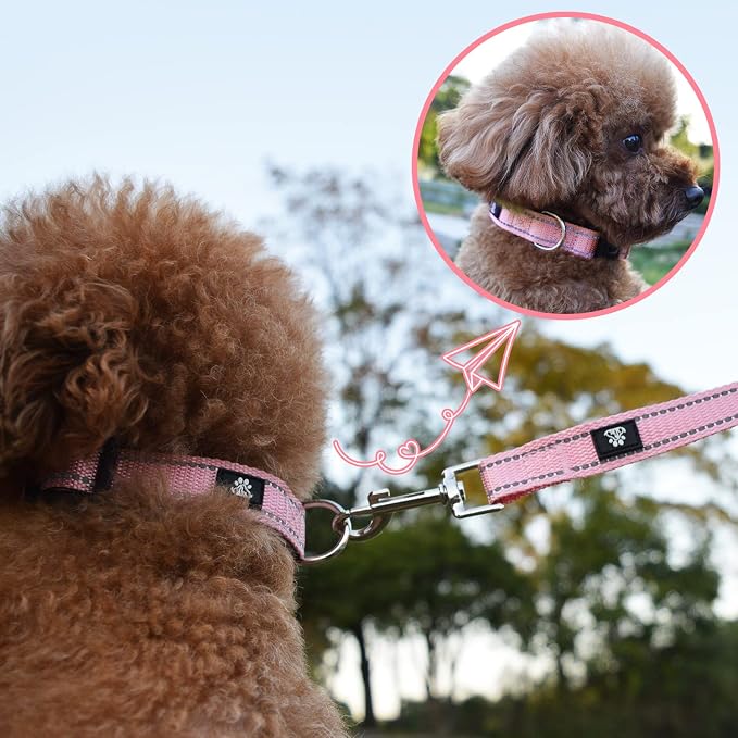 NESTROAD Dog Collar and Leash Set,Reflective Dog Collars with Quick Release Buckle,Adjustable Nylon Pet Collar for Small Medium Large Dogs(Small,Pink)