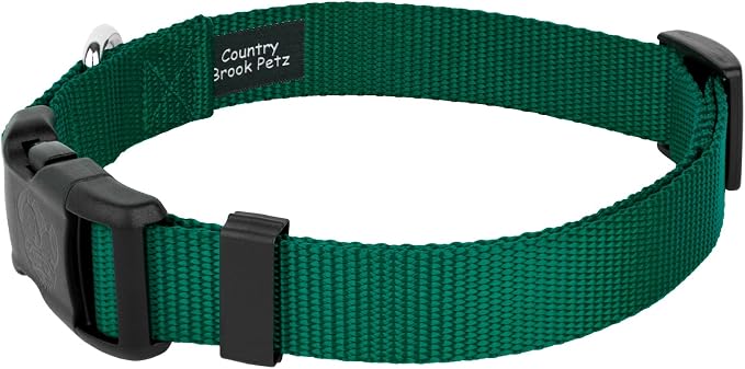 Country Brook Petz - Everyday Nylon Dog Collar and Leash - 10+ Cool Colors (3/4 Inch, Medium, Green)