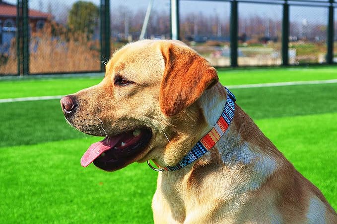 Mihqy Dog Collar with Bohemia Floral Tribal Geometric Patterns - Soft Ethnic Style Collar Adjustable for Small Medium Large Dogs（Bohemian Orange,L）