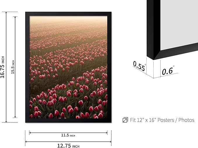Monem Art Golden Tulip Field Sunset Photography Print - Romantic Spring Landscape Art Poster - Wall Decor for Living Room, Bedroom or Office - 12x16 Black Framed Wall Art by Mareike Bohmer