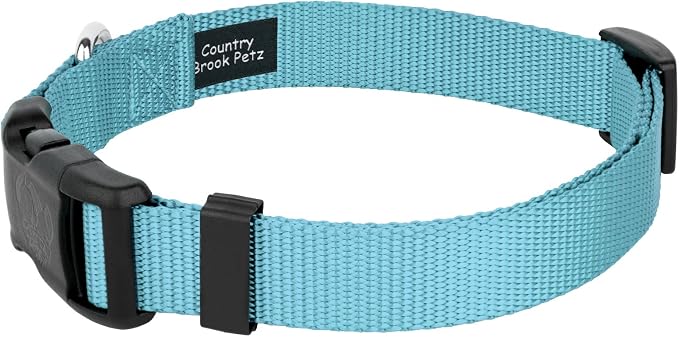 Country Brook Petz - Everyday Nylon Dog Collar and Leash - 10+ Cool Colors (1 Inch, Large, Ocean Blue)