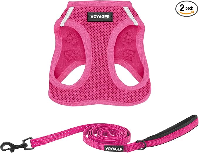 Best Pet Supplies Voyager Step-in Air All Weather Mesh Harness and Reflective Dog 5ft Leash Combo with Neoprene Handle, for Small, Medium and Large Breed Puppies - Fuchsia, XX-Small