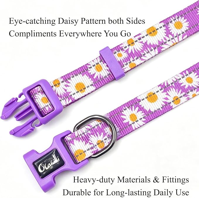 Dog Collar Leash Set, Floral Pattern, with Safety Reflective Strips, 5 ft Matching Leash, Neoprene Padded Handle, Adjustable 4 Sizes for Small Medium Large Dogs.(M, Purple Daisy)