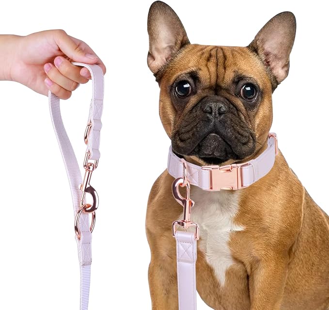Soft Leather Dog Collar and Leash (6.6') Set - Stylish Rose Gold Heavy Duty Metal Buckle, 4 Adjustable Lengths Leash for Small Medium Large Dogs - Comfortable & Easy to Clean XS(8"-12"), Gold Pink