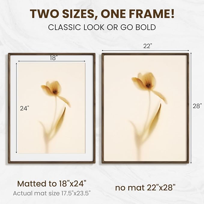 22x28 Poster Frame, USA-Sourced Walnut Wood Frame Wall Mounted, 22x28 Picture Frame with Real Glass, 22 x 28 Picture Frame Matted to 18x24 Photo for Vertical & Horizontal Hanging, 1 Pack