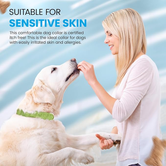 Hypoallergenic Dog Collar - Great for Sensitive Skin, Soft Collar for Dogs, Soft Organic & Earth Friendly (Small)
